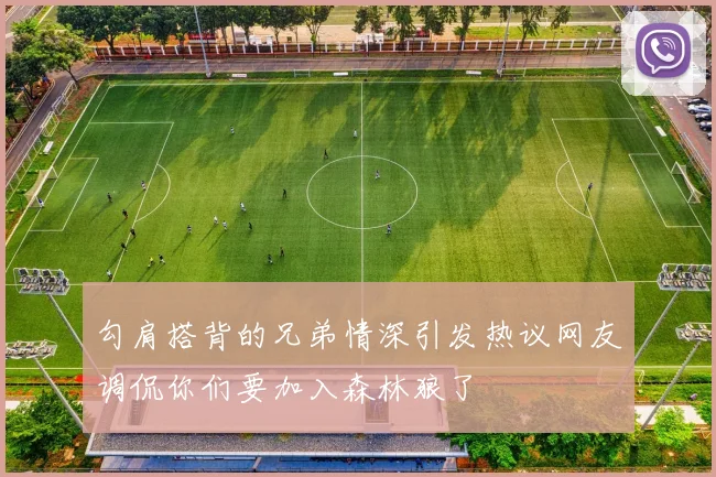 勾肩搭背的兄弟情深引发热议网友调侃你们要加入森林狼了