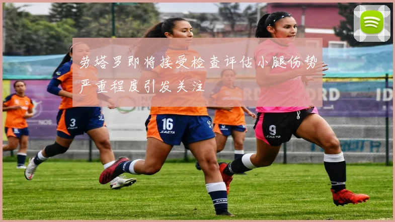 劳塔罗即将接受检查评估小腿伤势严重程度引发关注