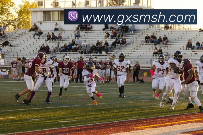 App Interface Preview